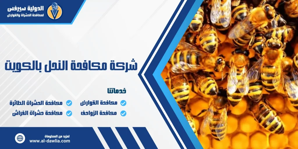 شركة مكافحة النحل بالكويت