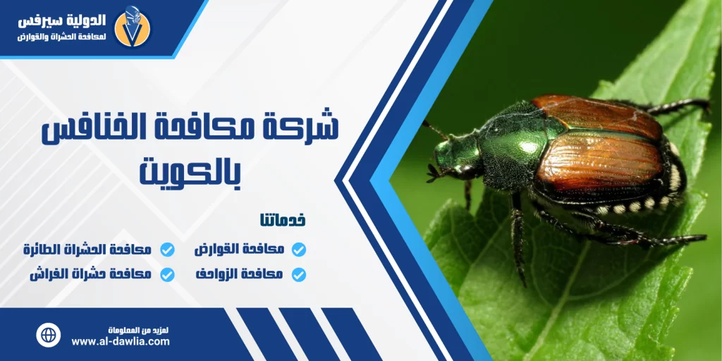 شركة مكافحة الخنافس بالكويت