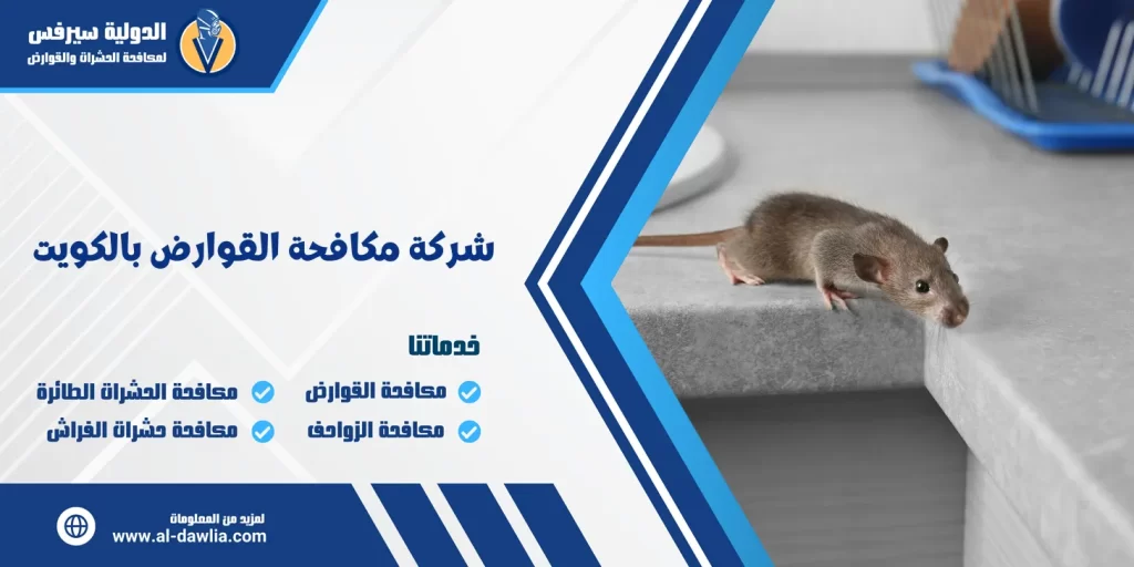 شركة مكافحة القوارض بالكويت