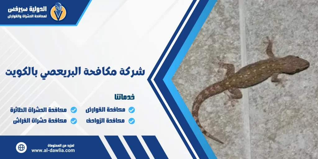 شركة مكافحة البريعصي بالكويت